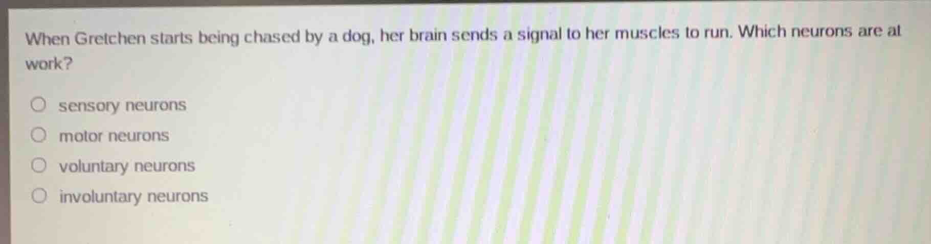 when gretchen starts being chased by a dog, her brain sends a signal to…