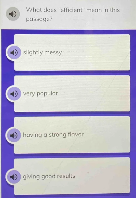 what does \efficient\ mean in this passage? slightly messy very popular…