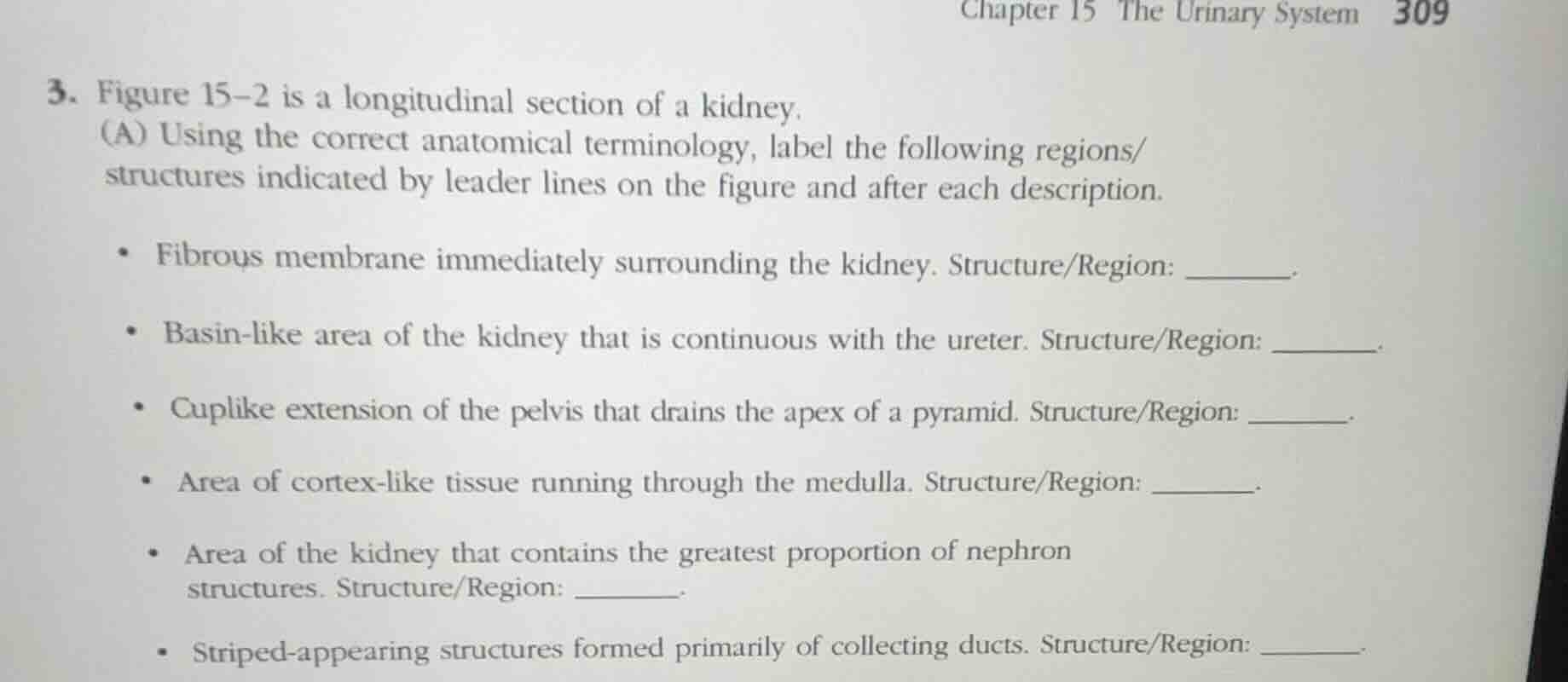 3. figure 15–2 is a longitudinal section of a kidney. (a) using the cor…