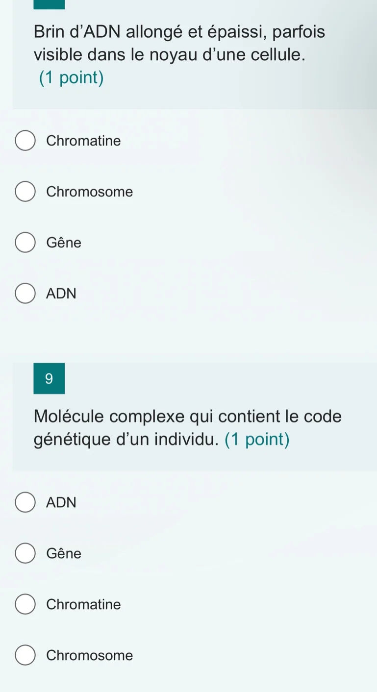 brin dadn allongé et épaissi, parfois visible dans le noyau dune cellul…