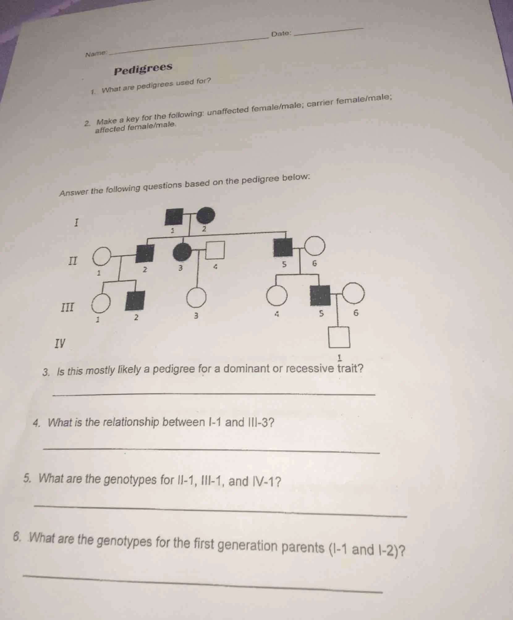 name: ______________________________ date: ______________ pedigrees 1. …