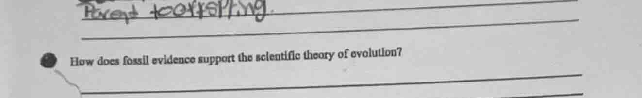 how does fossil evidence support the scientific theory of evolution?