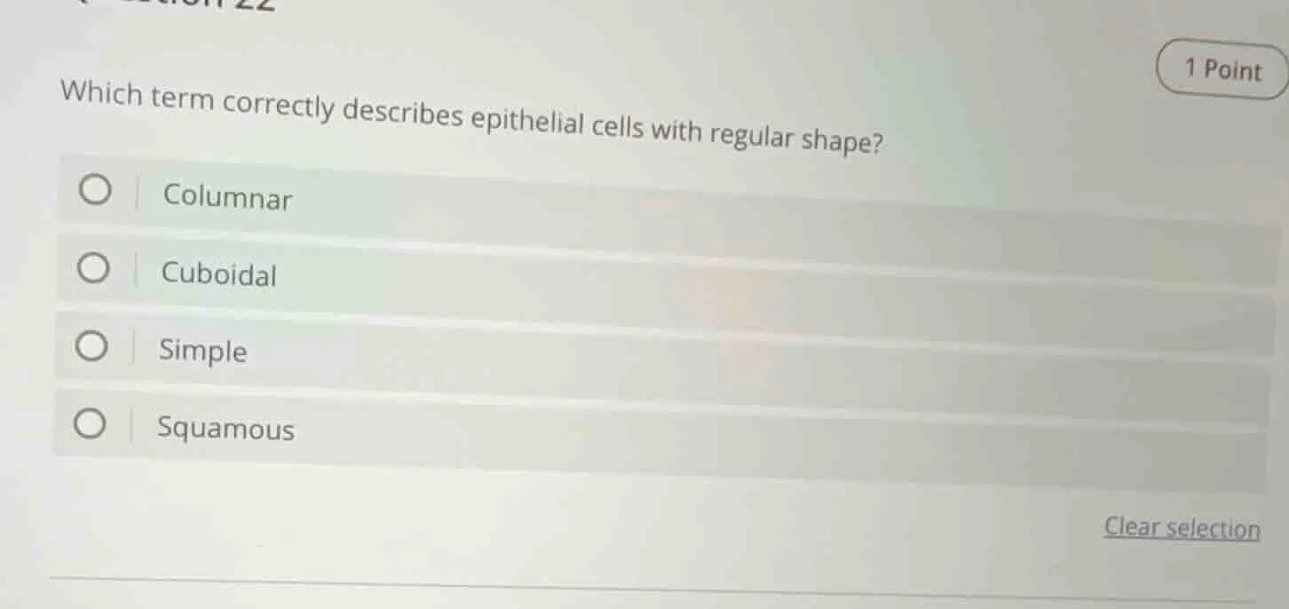 which term correctly describes epithelial cells with regular shape? col…