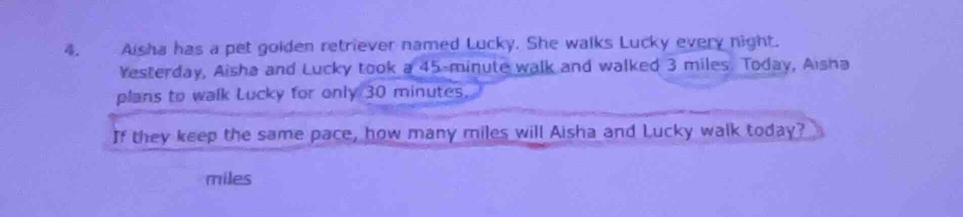 4. aisha has a pet golden retriever named lucky. she walks lucky every …