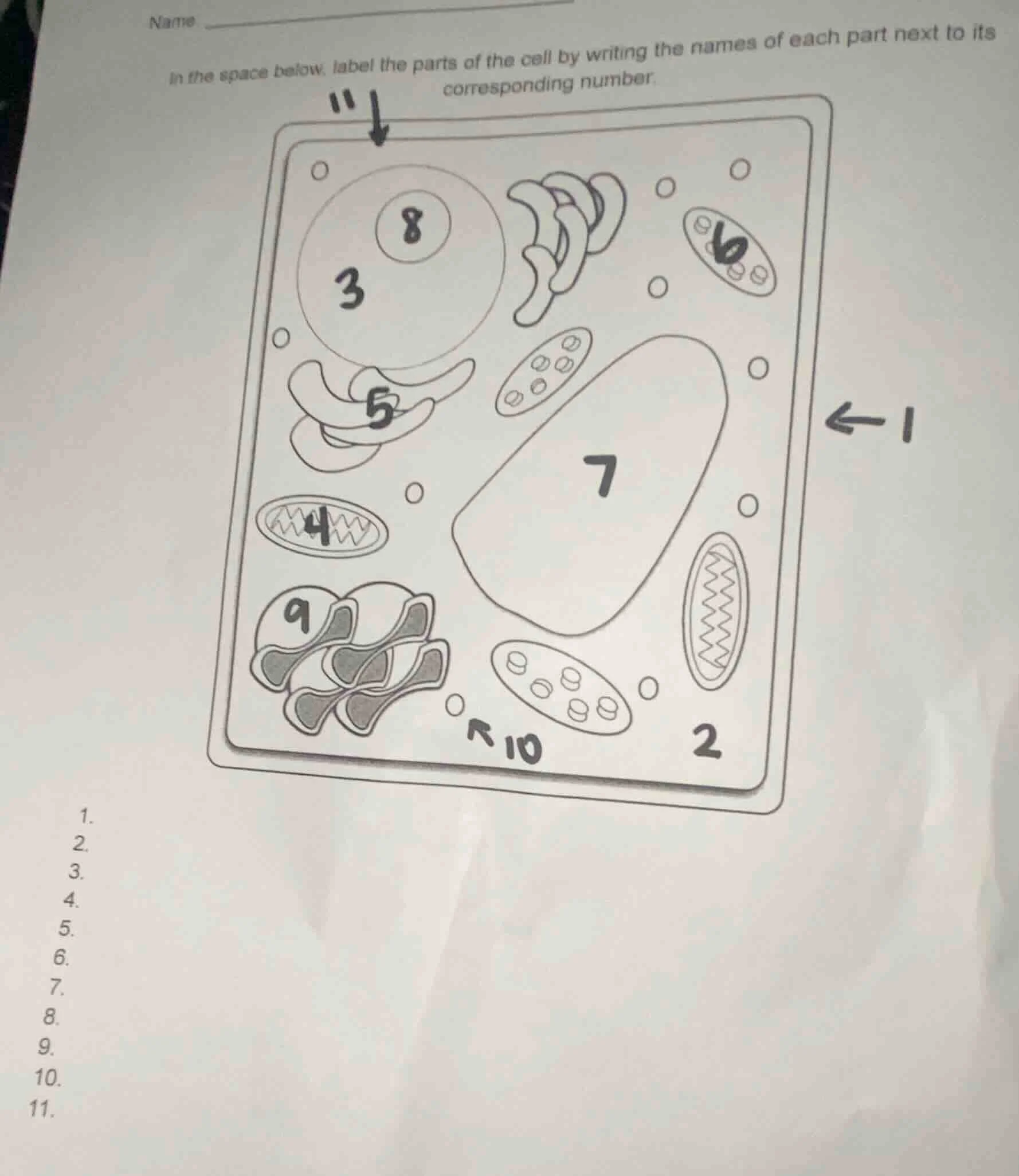 name in the space below, label the parts of the cell by writing the nam…