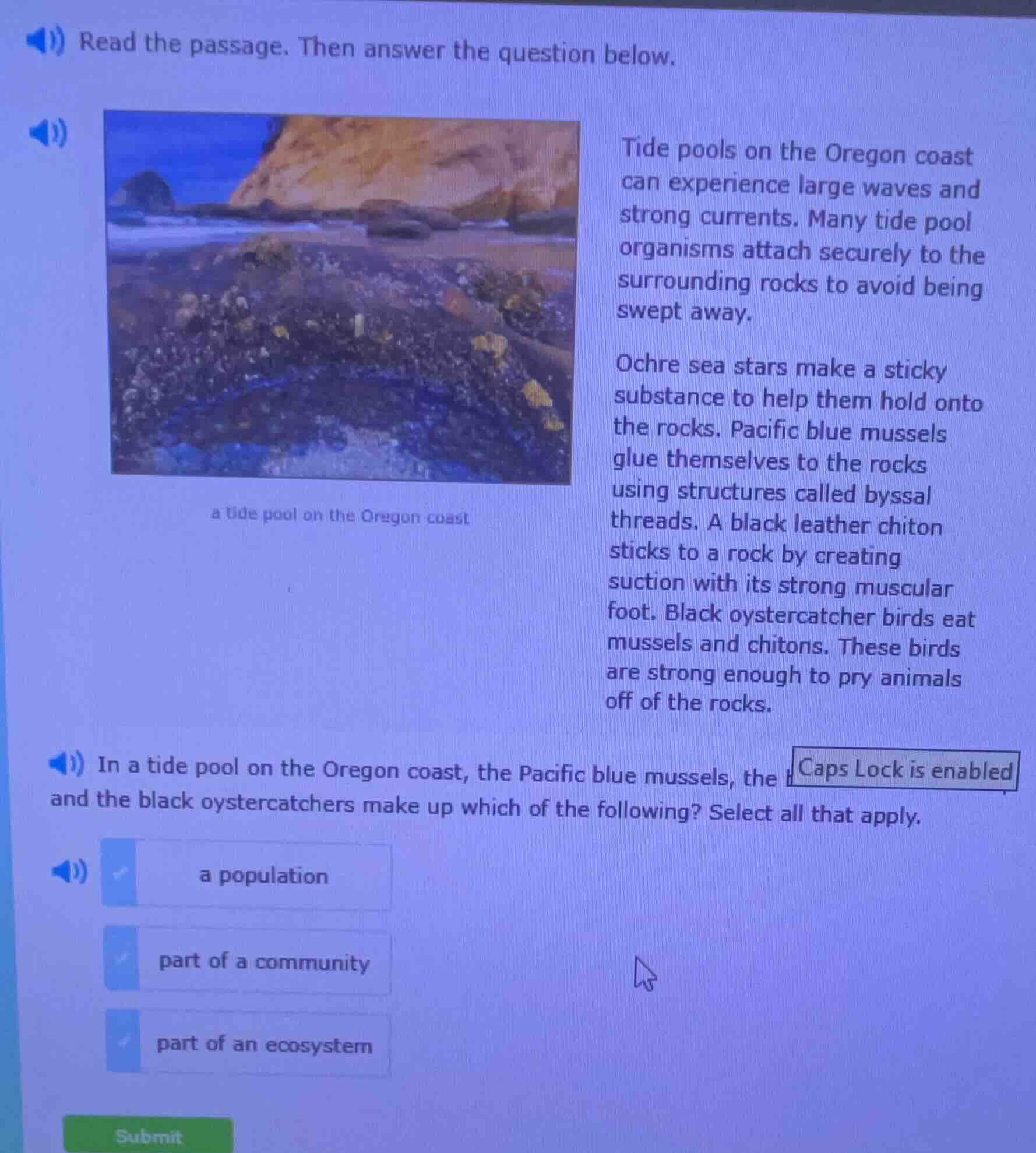 read the passage. then answer the question below. tide pools on the ore…