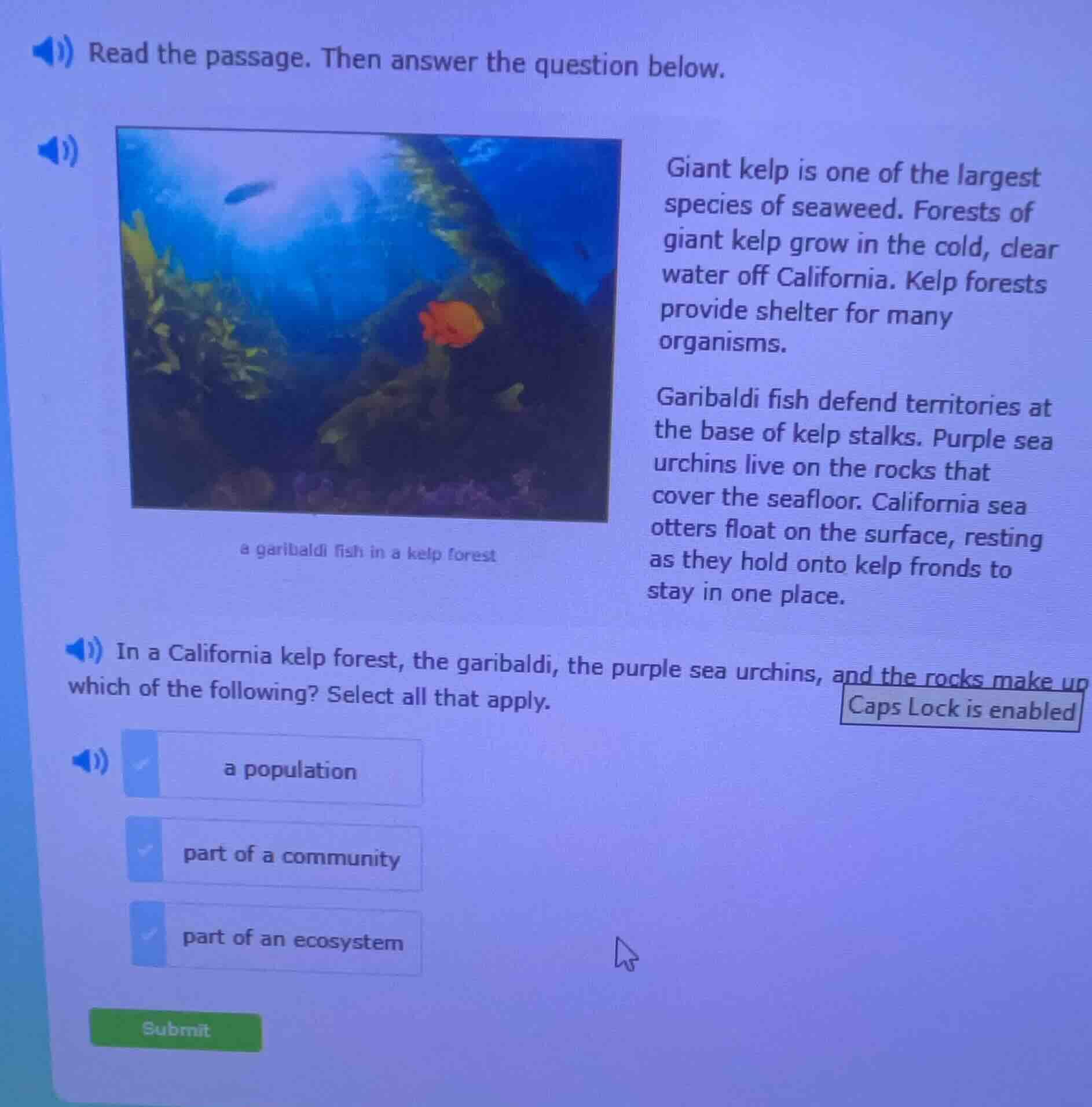 read the passage. then answer the question below. giant kelp is one of …