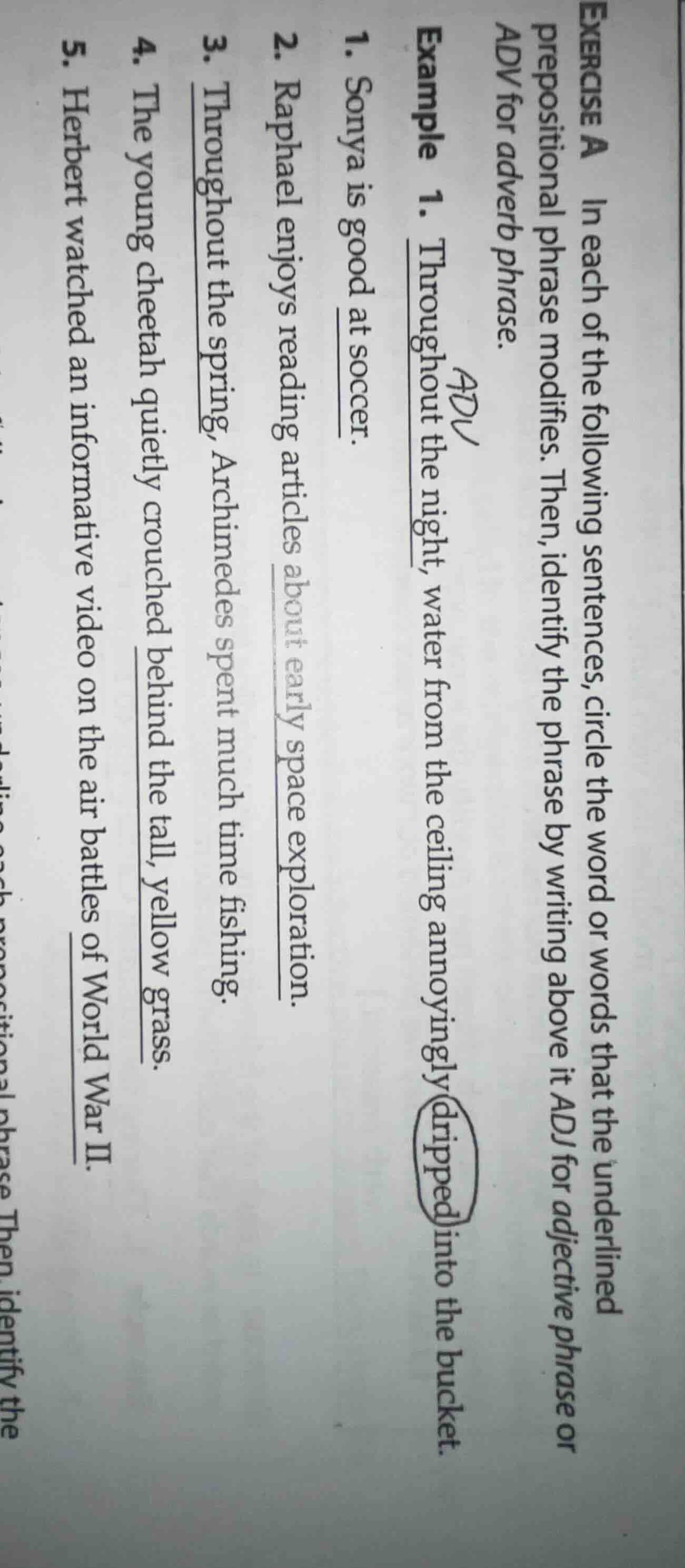 exercise a in each of the following sentences, circle the word or words…