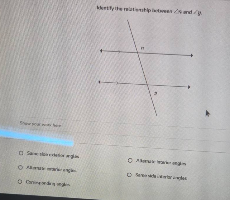 identify the relationship between $\\angle n$ and $\\angle y$. show you…