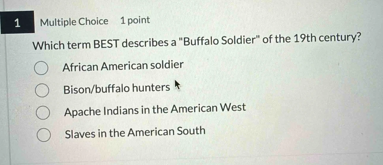 1 multiple choice 1 point which term best describes a \buffalo soldier\…