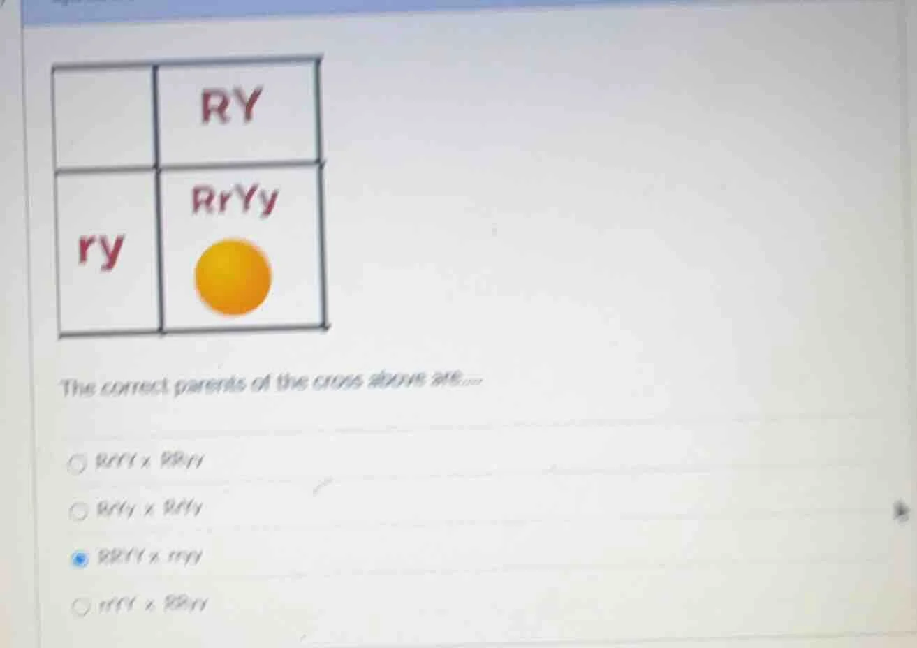 ry rryy ry the correct parents of the cross above are... rrrr x rryy rr…