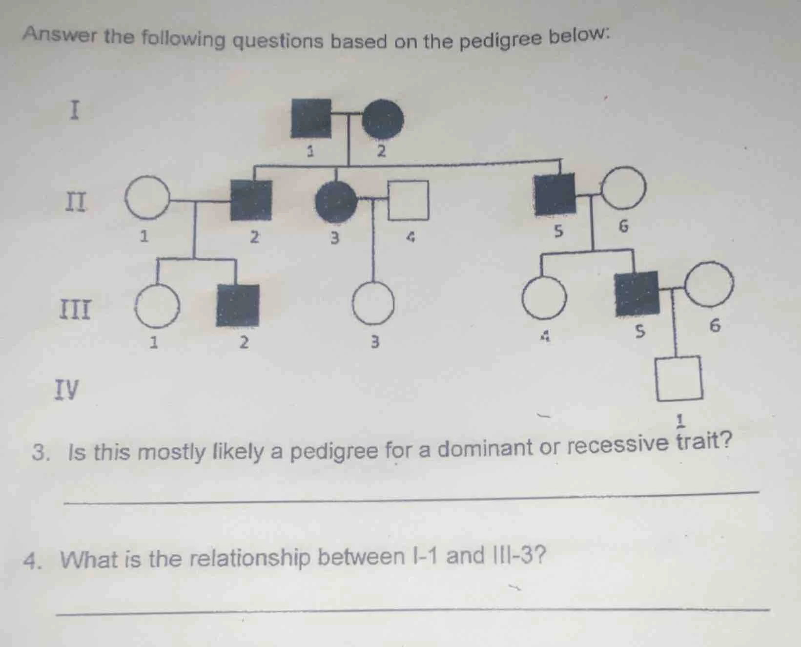 answer the following questions based on the pedigree below: 3. is this …