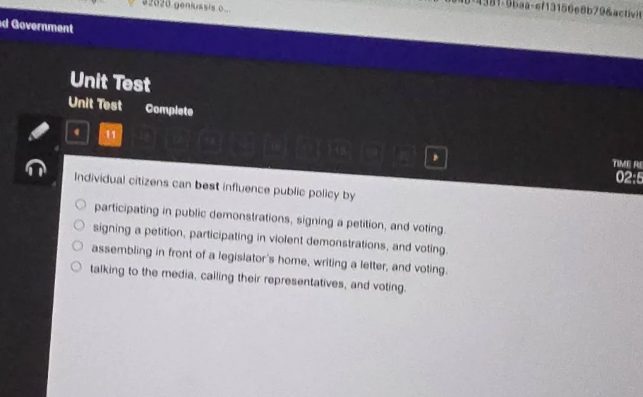 individual citizens can best influence public policy by participating i…