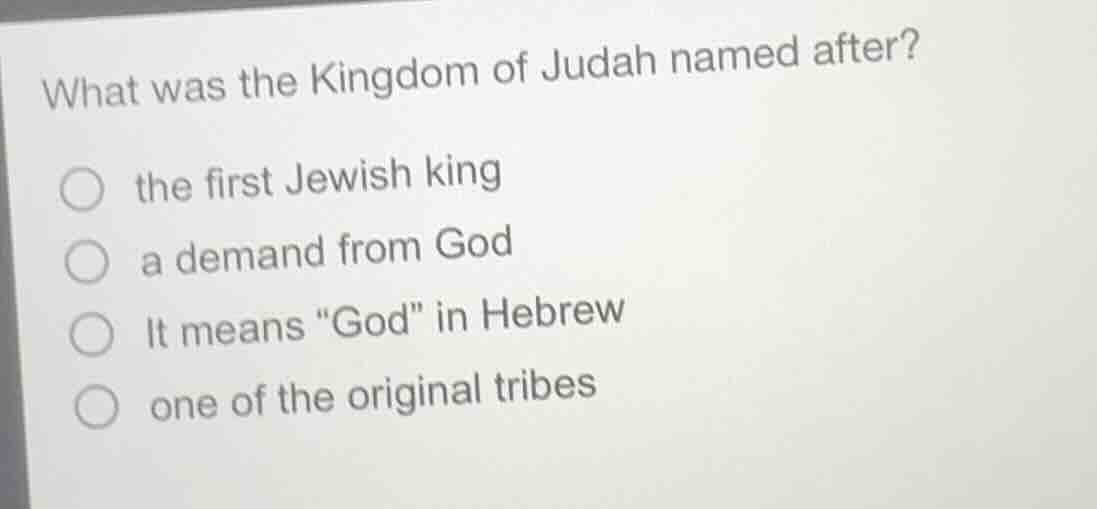 what was the kingdom of judah named after? ○ the first jewish king ○ a …