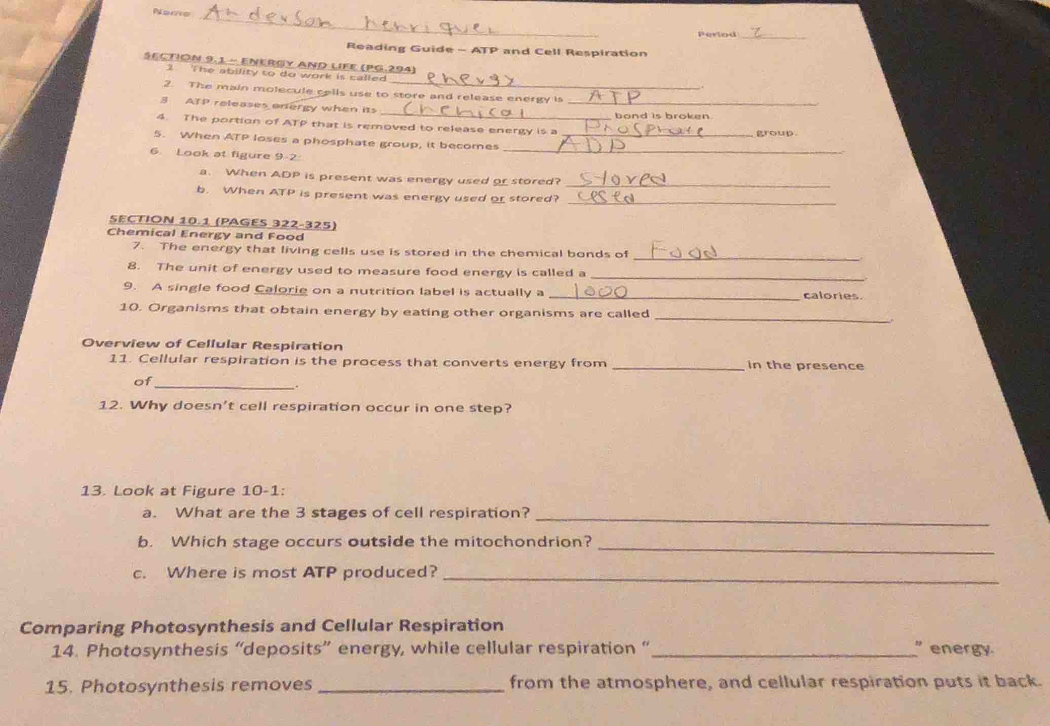name ar deuson henriquez period 2 reading guide - atp and cell respirat…