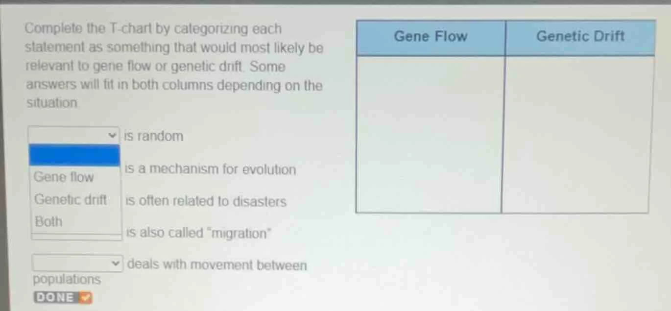 complete the t - chart by categorizing each statement as something that…