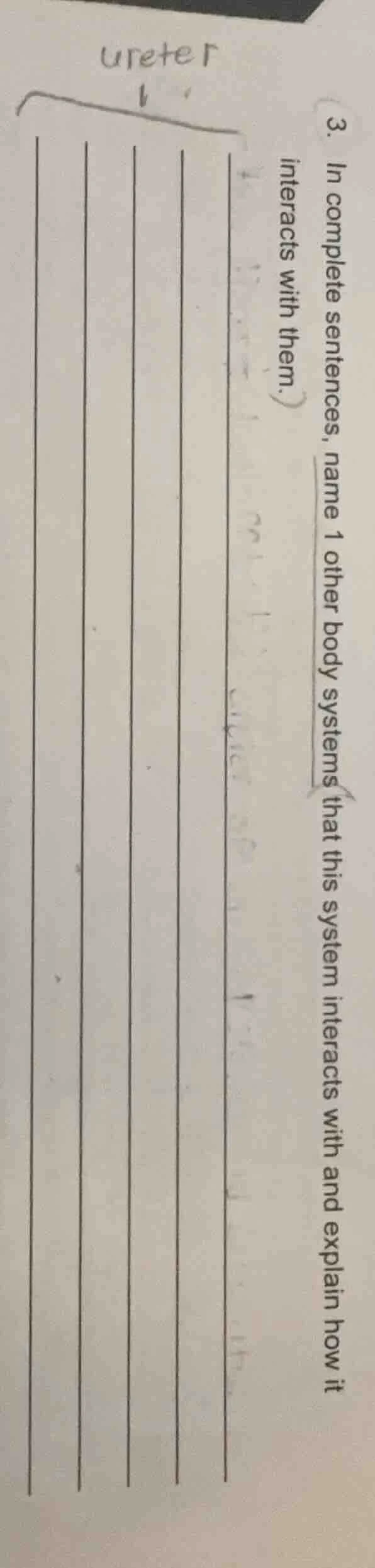 3. in complete sentences, name 1 other body systems that this system in…