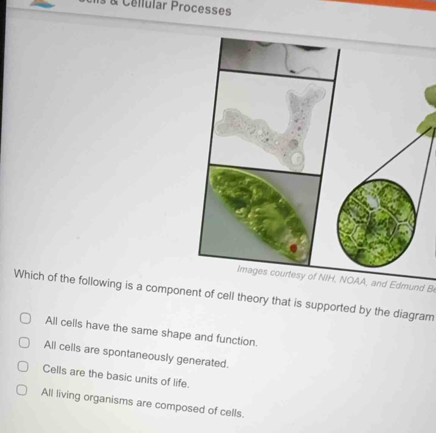 which of the following is a component of cell theory that is supported …