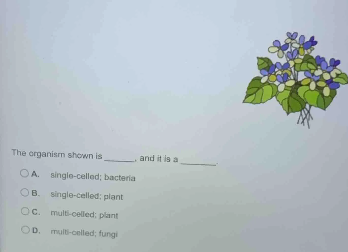 the organism shown is ______, and it is a ______. a. single - celled; b…