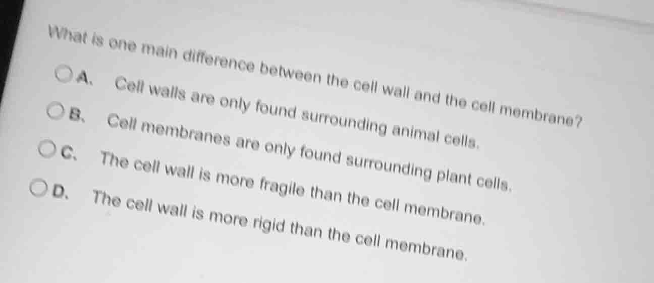 what is one main difference between the cell wall and the cell membrane…