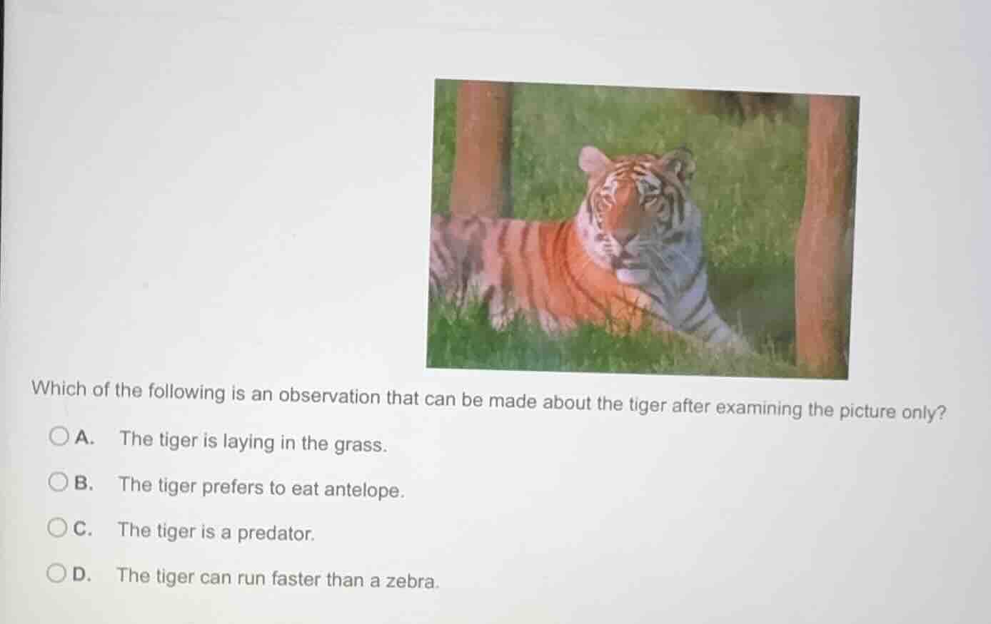 which of the following is an observation that can be made about the tig…