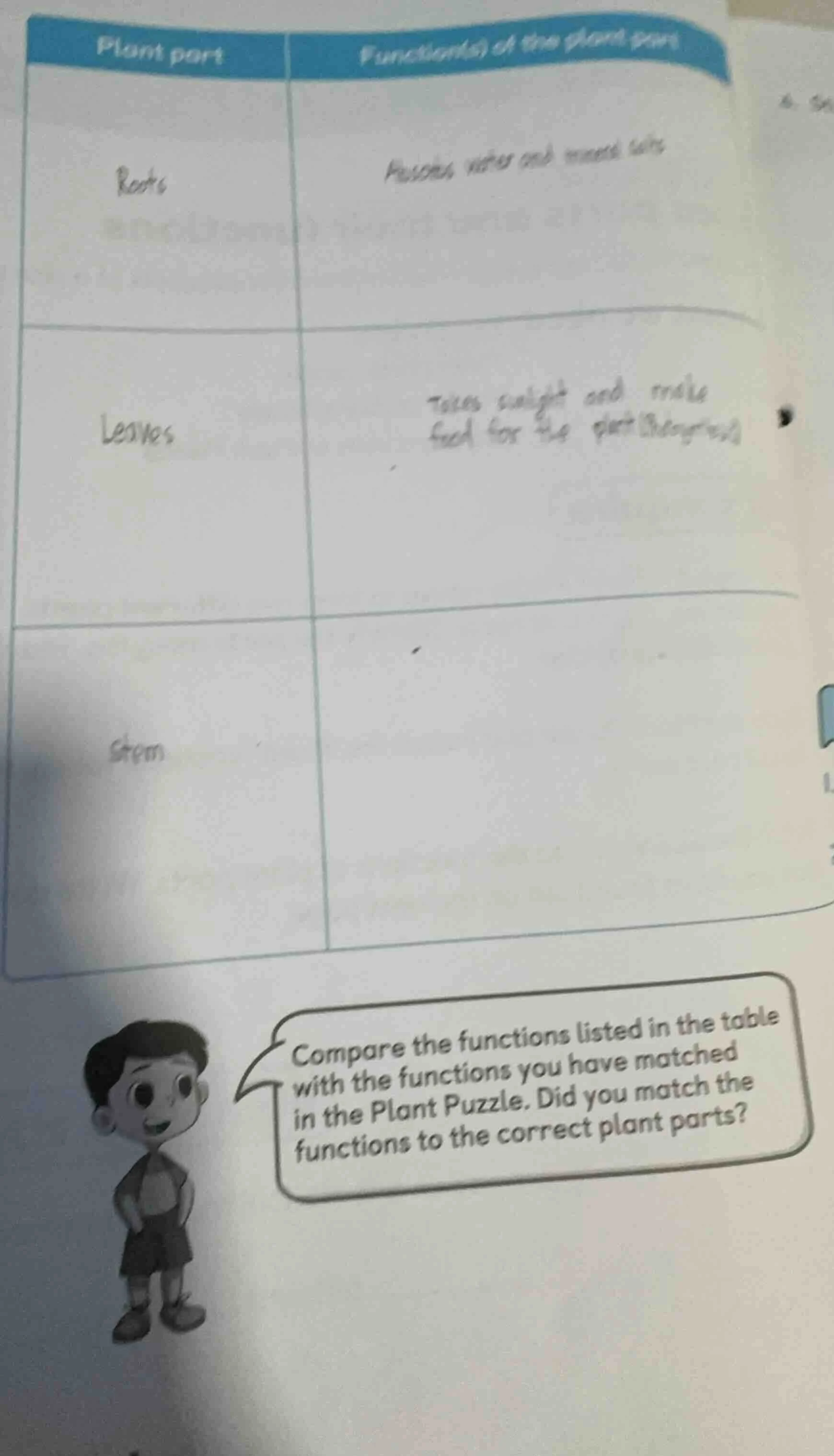 plant part | function(s) of the plant part roots | absorbs water and mi…