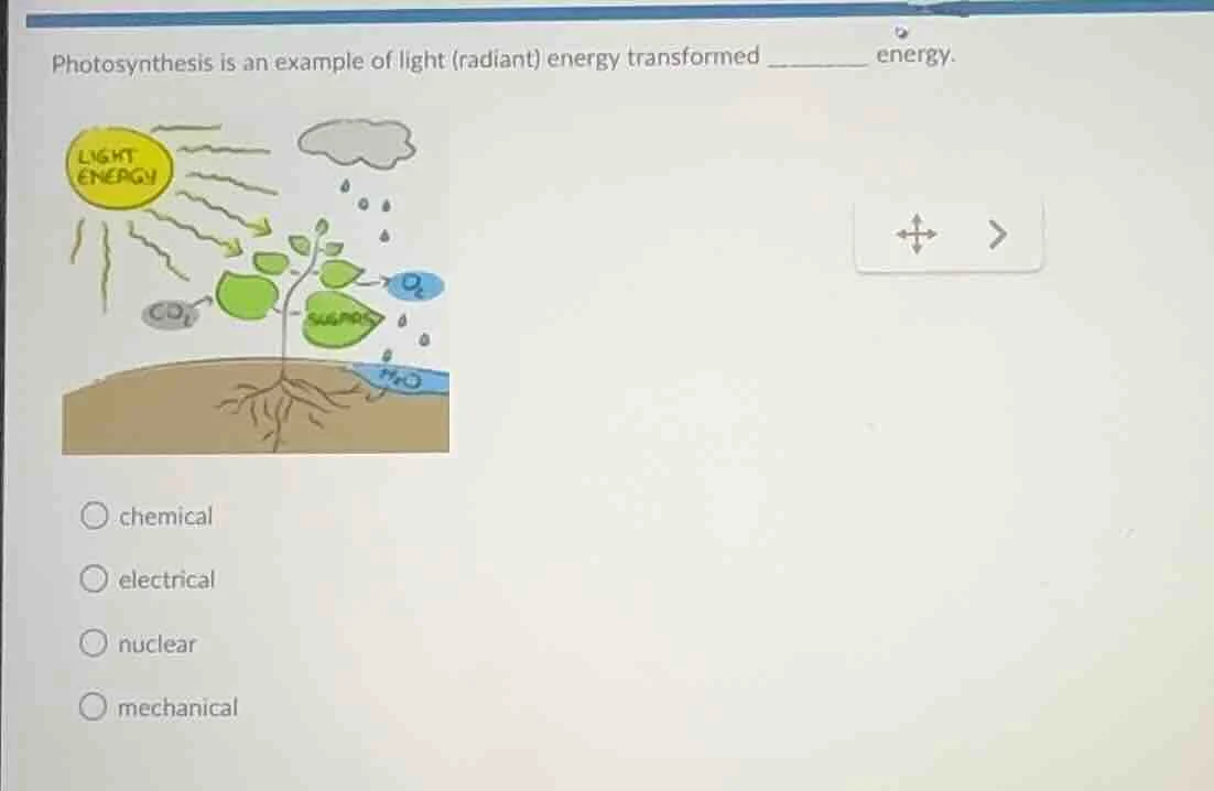 photosynthesis is an example of light (radiant) energy transformed ____…
