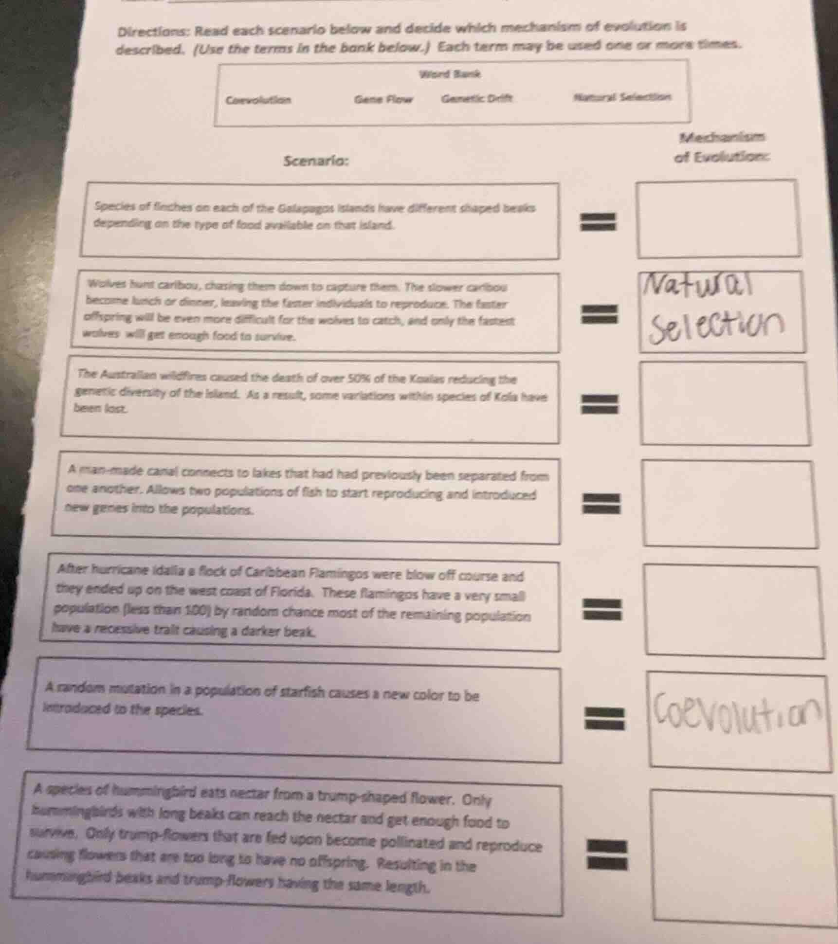 directions: read each scenario below and decide which mechanism of evol…