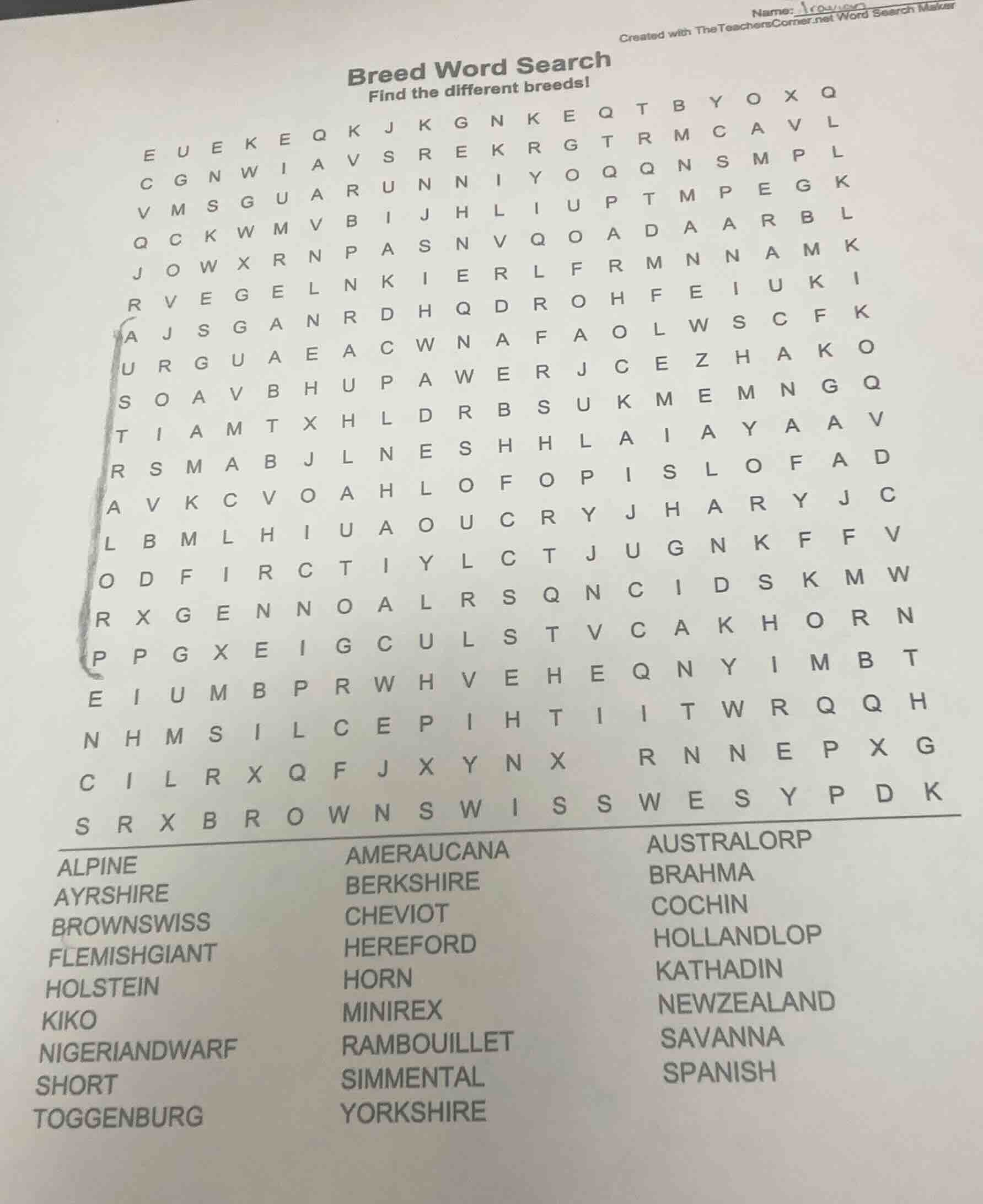 breed word search find the different breeds! e u e k e q k j k g n k e …