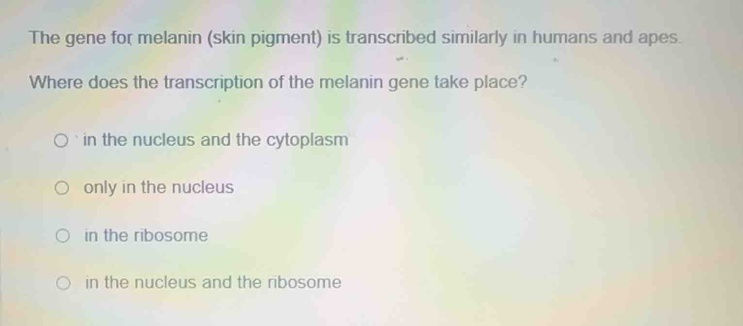the gene for melanin (skin pigment) is transcribed similarly in humans …