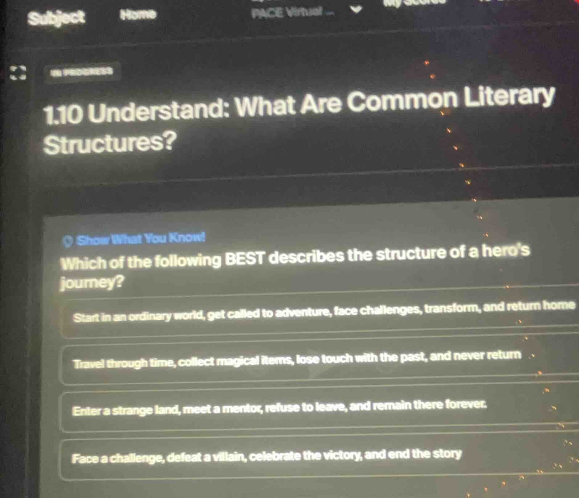 1.10 understand: what are common literary structures? show what you kno…