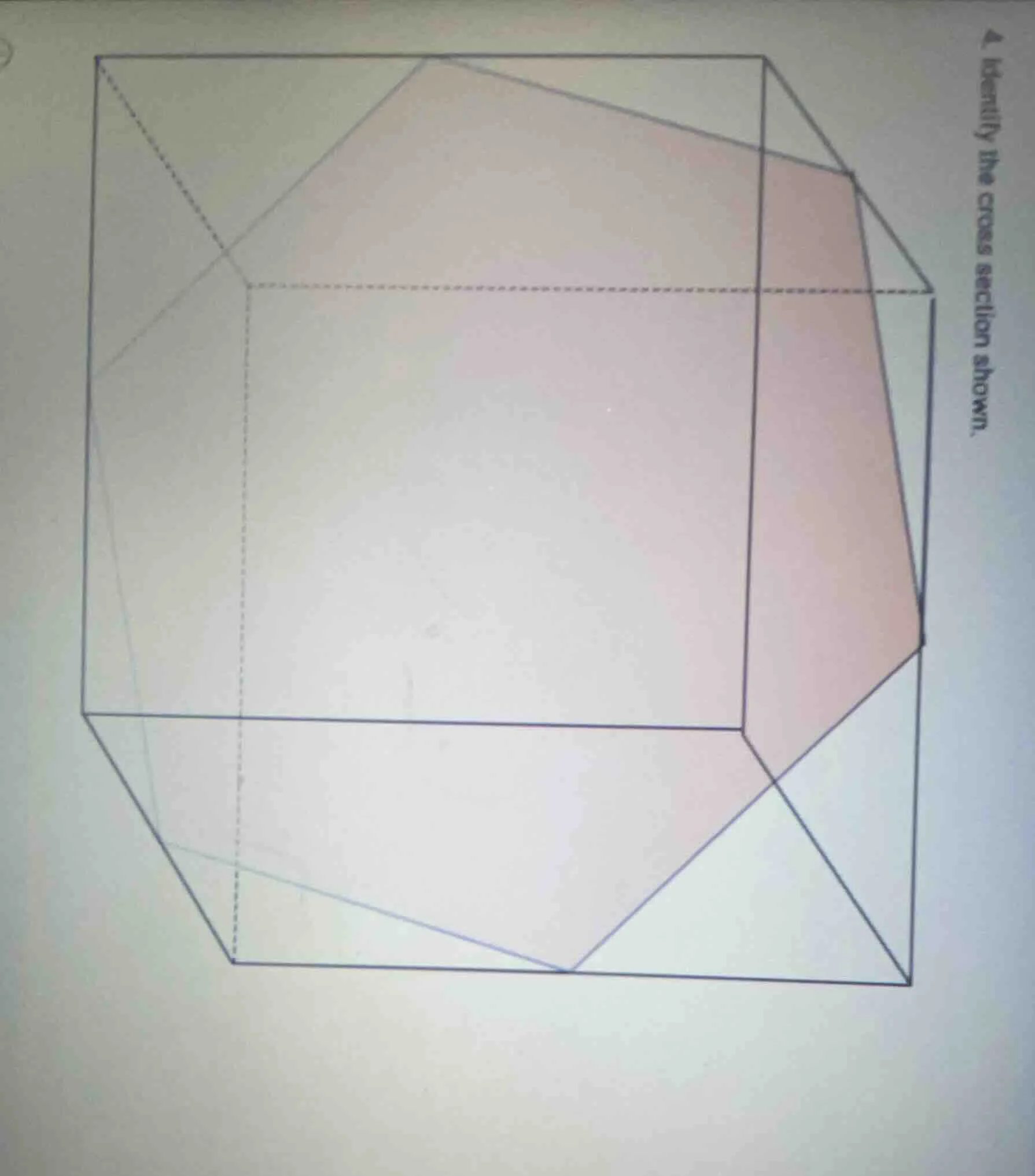 identify the cross section shown.