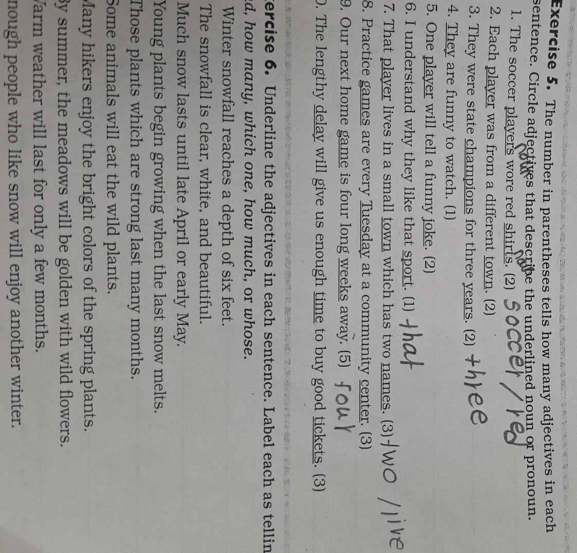 exercise 5. the number in parentheses tells how many adjectives in each…