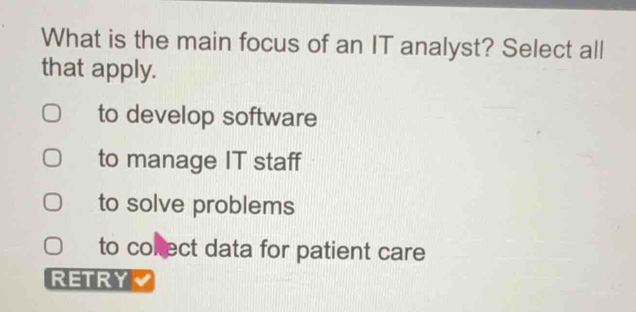 what is the main focus of an it analyst? select all that apply. to deve…