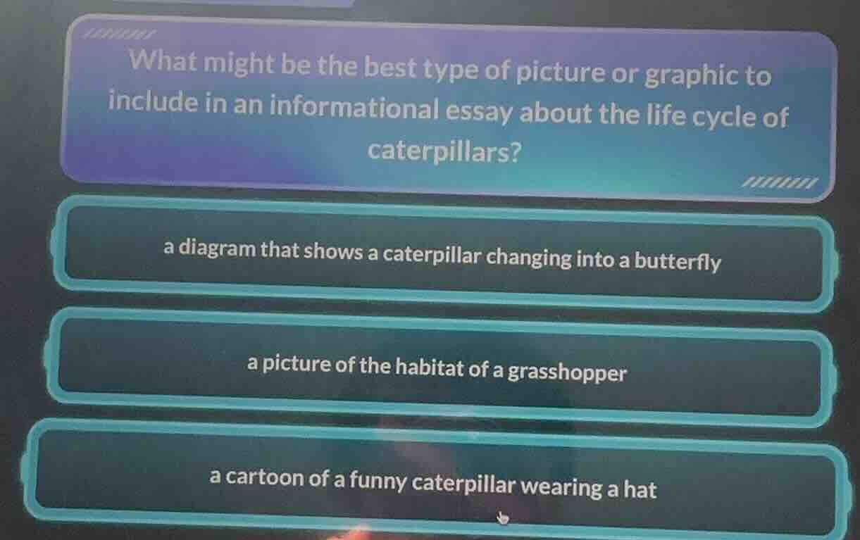 what might be the best type of picture or graphic to include in an info…