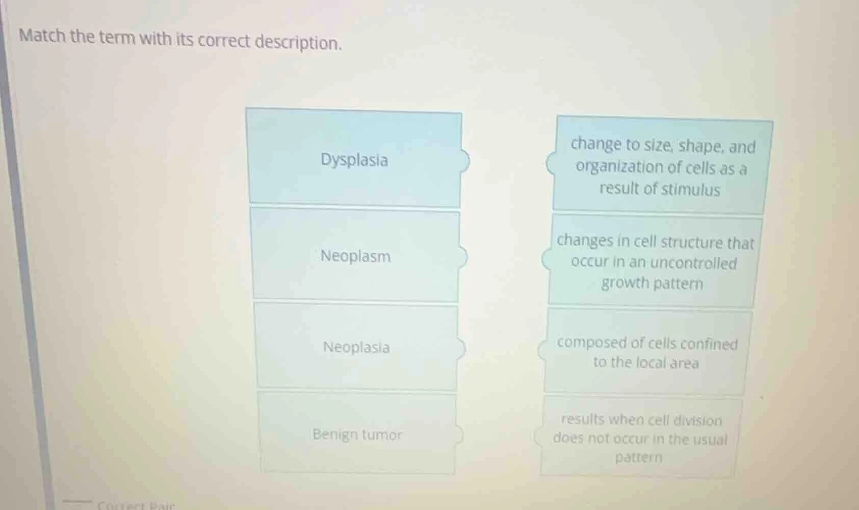 match the term with its correct description. dysplasia neoplasm neoplas…