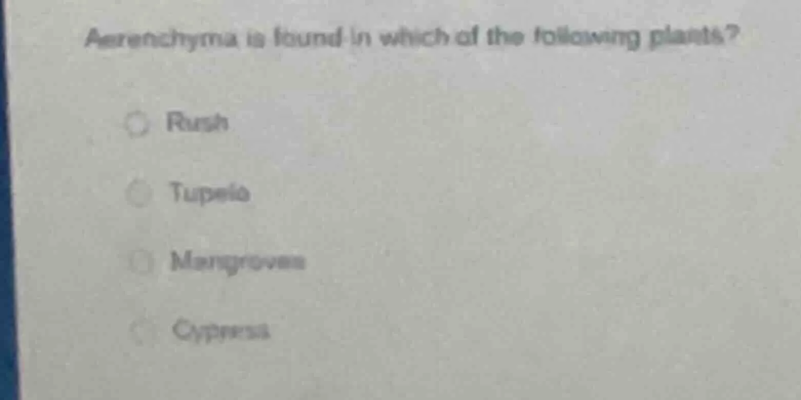 aerenchyma is found in which of the following plants? rush tupelo mangr…