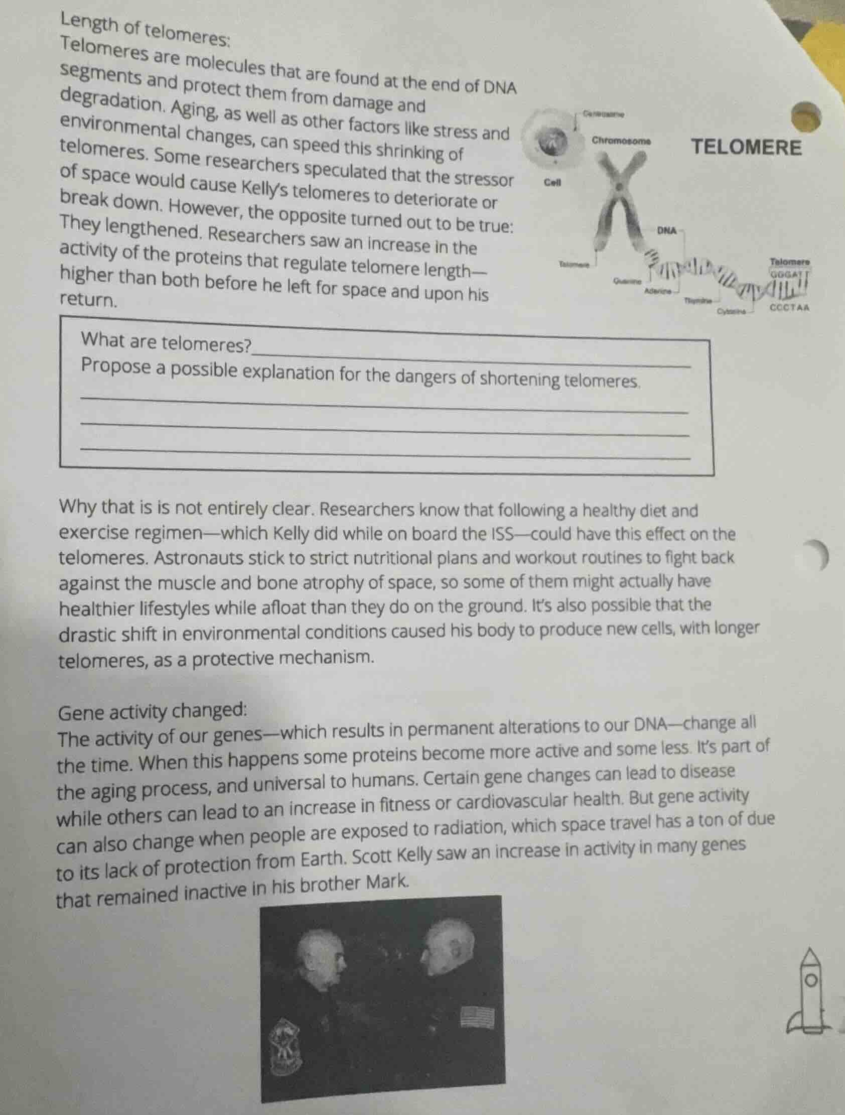 length of telomeres: telomeres are molecules that are found at the end …