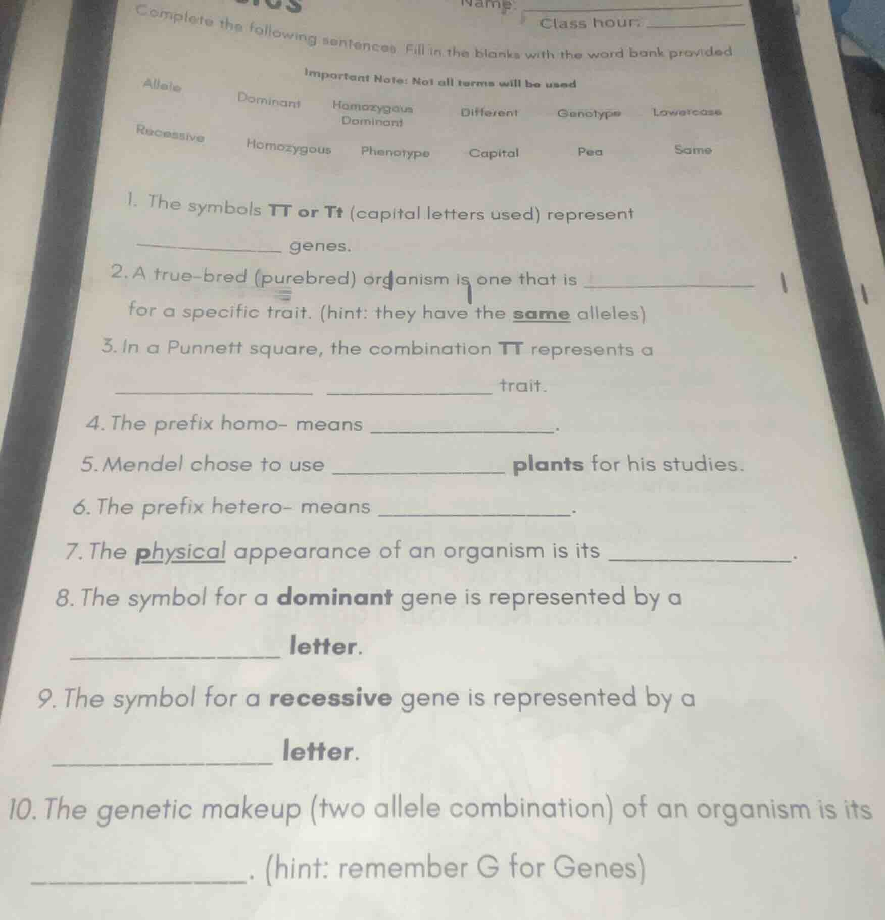 complete the following sentences. fill in the blanks with the word bank…