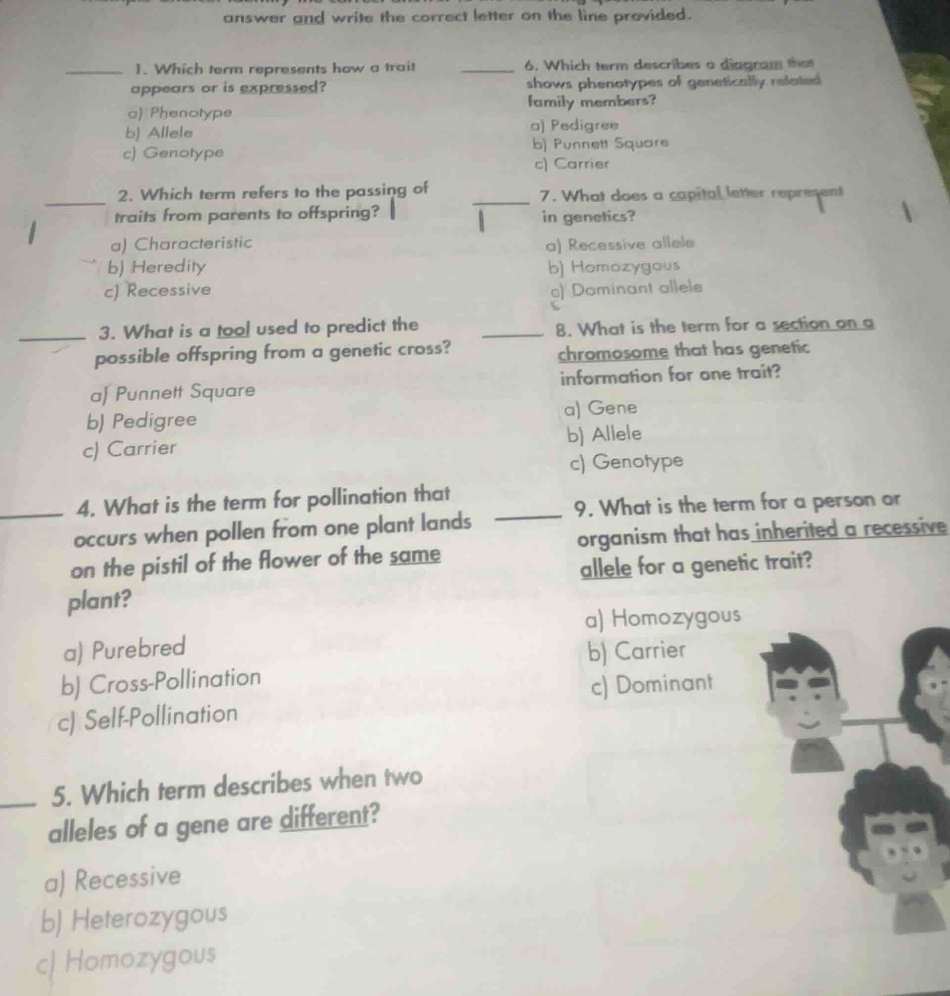 answer and write the correct letter on the line provided. 1. which term…