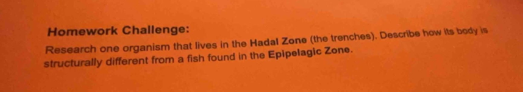 homework challenge: research one organism that lives in the hadal zone …