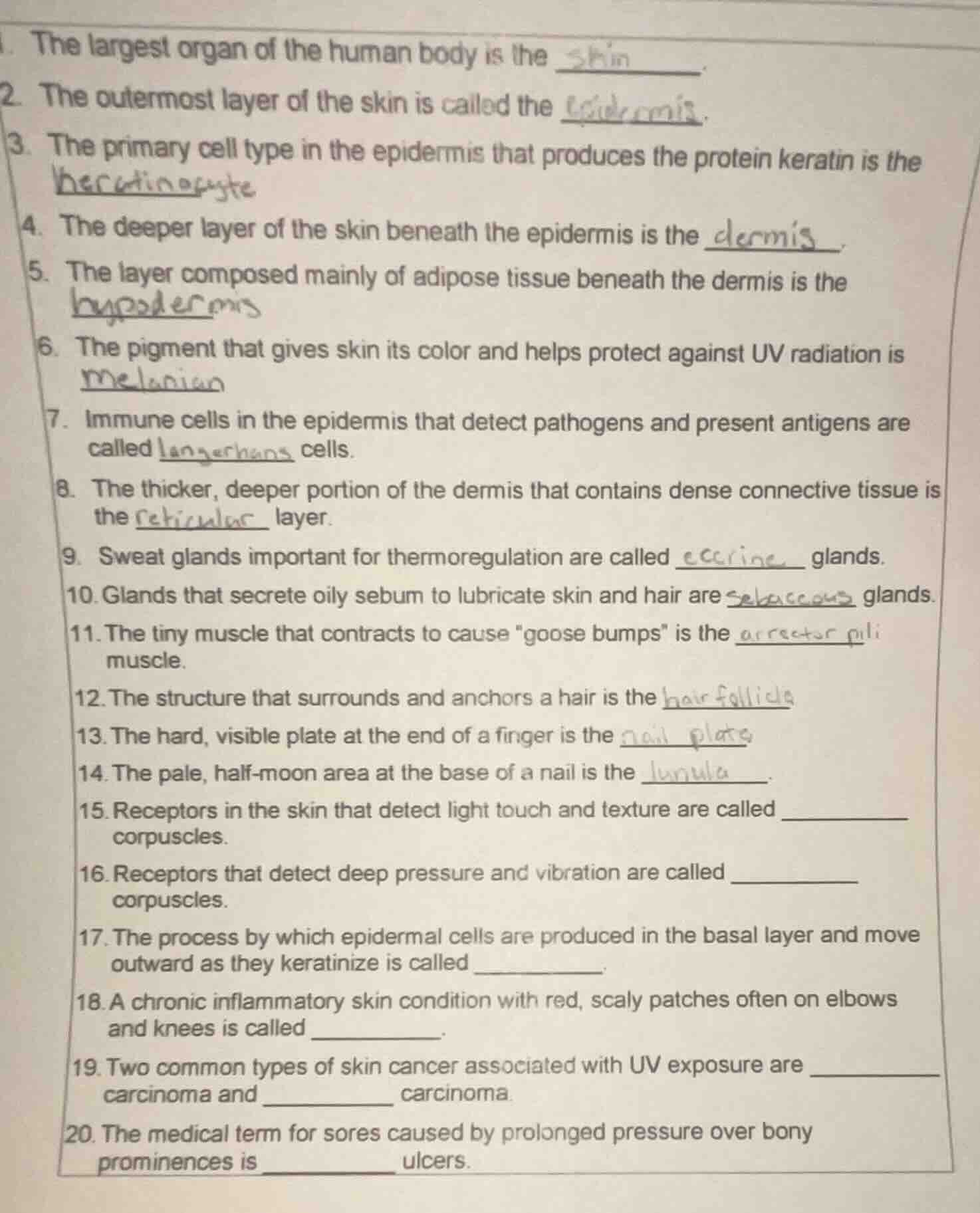 Question was provided via image upload.