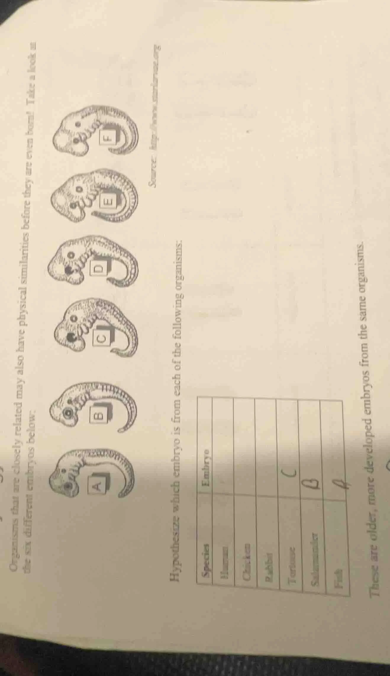 organisms that are closely related may also have physical similarities …