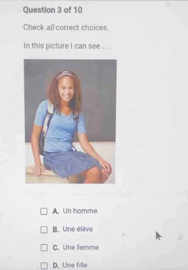 question 3 of 10 check all correct choices. in this picture i can see..…