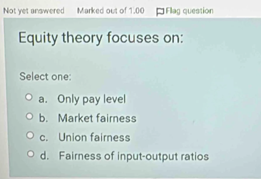 equity theory focuses on: select one: a. only pay level b. market fairn…