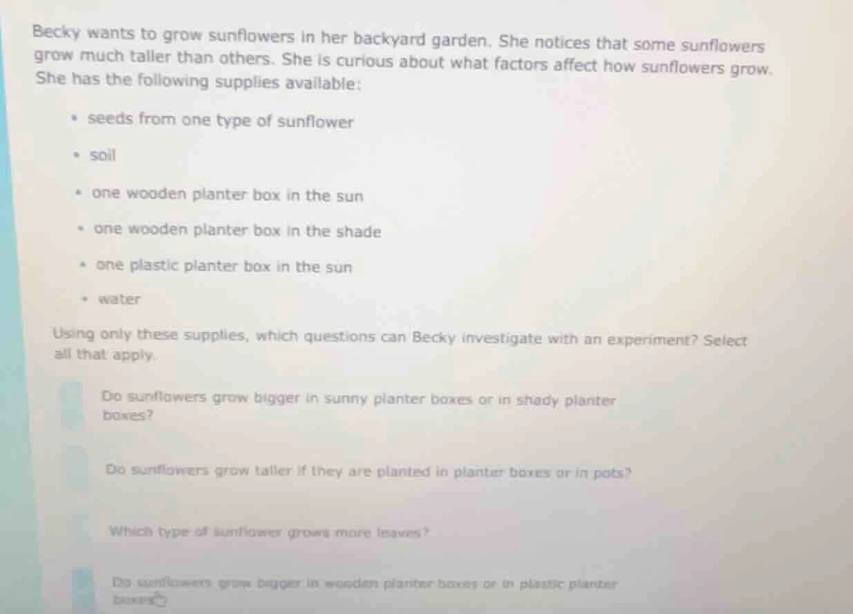 becky wants to grow sunflowers in her backyard garden. she notices that…