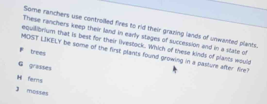 some ranchers use controlled fires to rid their grazing lands of unwant…