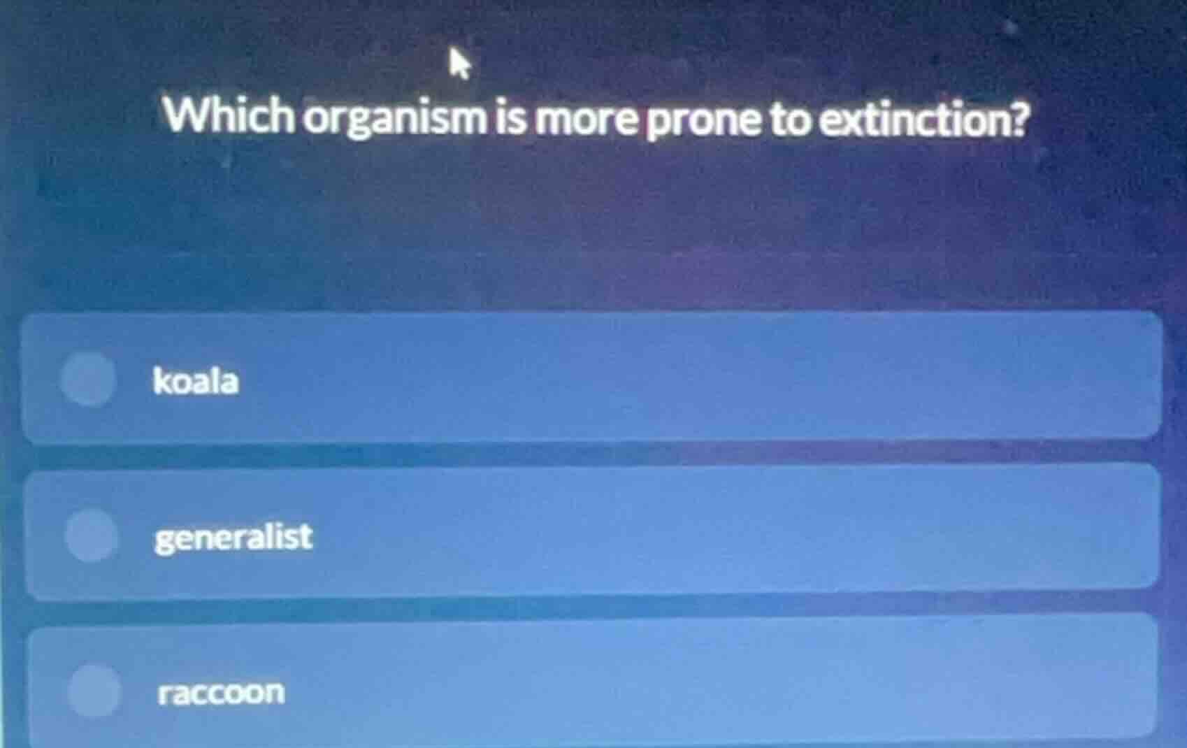 which organism is more prone to extinction? koala generalist raccoon