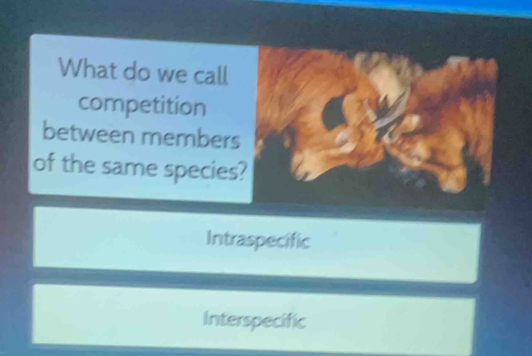 what do we call competition between members of the same species? intras…