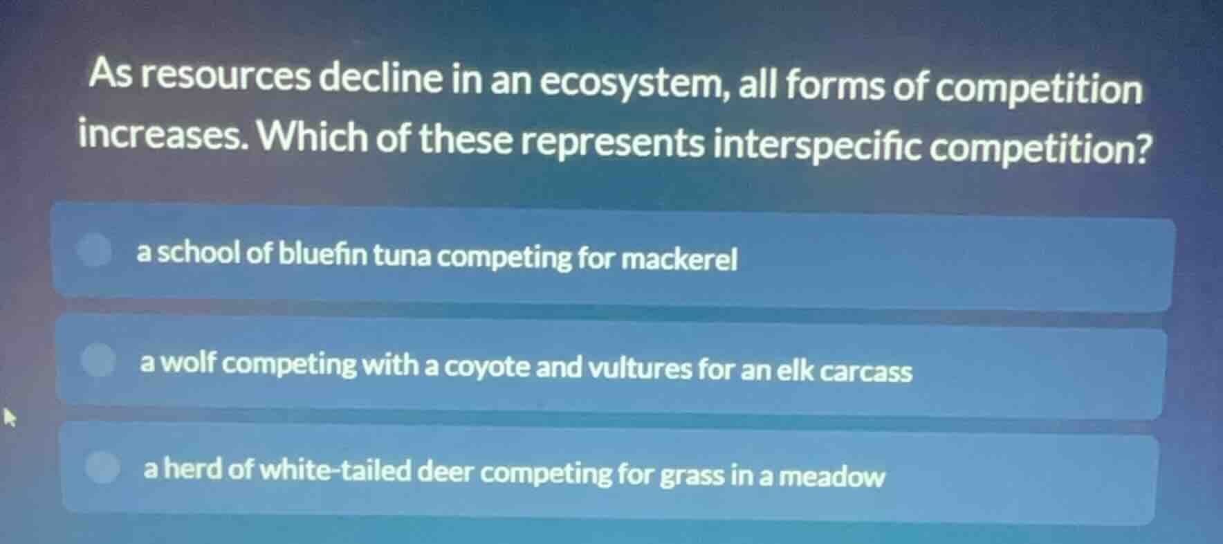 as resources decline in an ecosystem, all forms of competition increase…